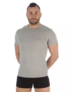 Набор мужских футболок облегающего кроя (2шт)  (серый, темно-синий) Emporio Armani RT111267_CC717 13742